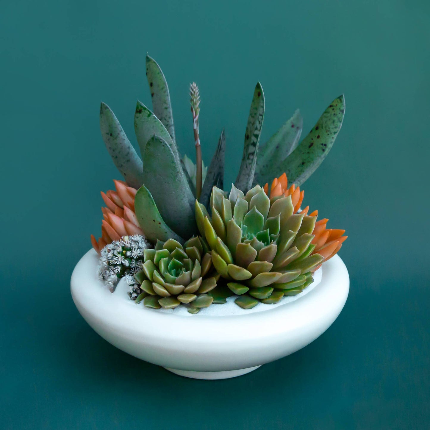 Birdie Bowl | Vintage White