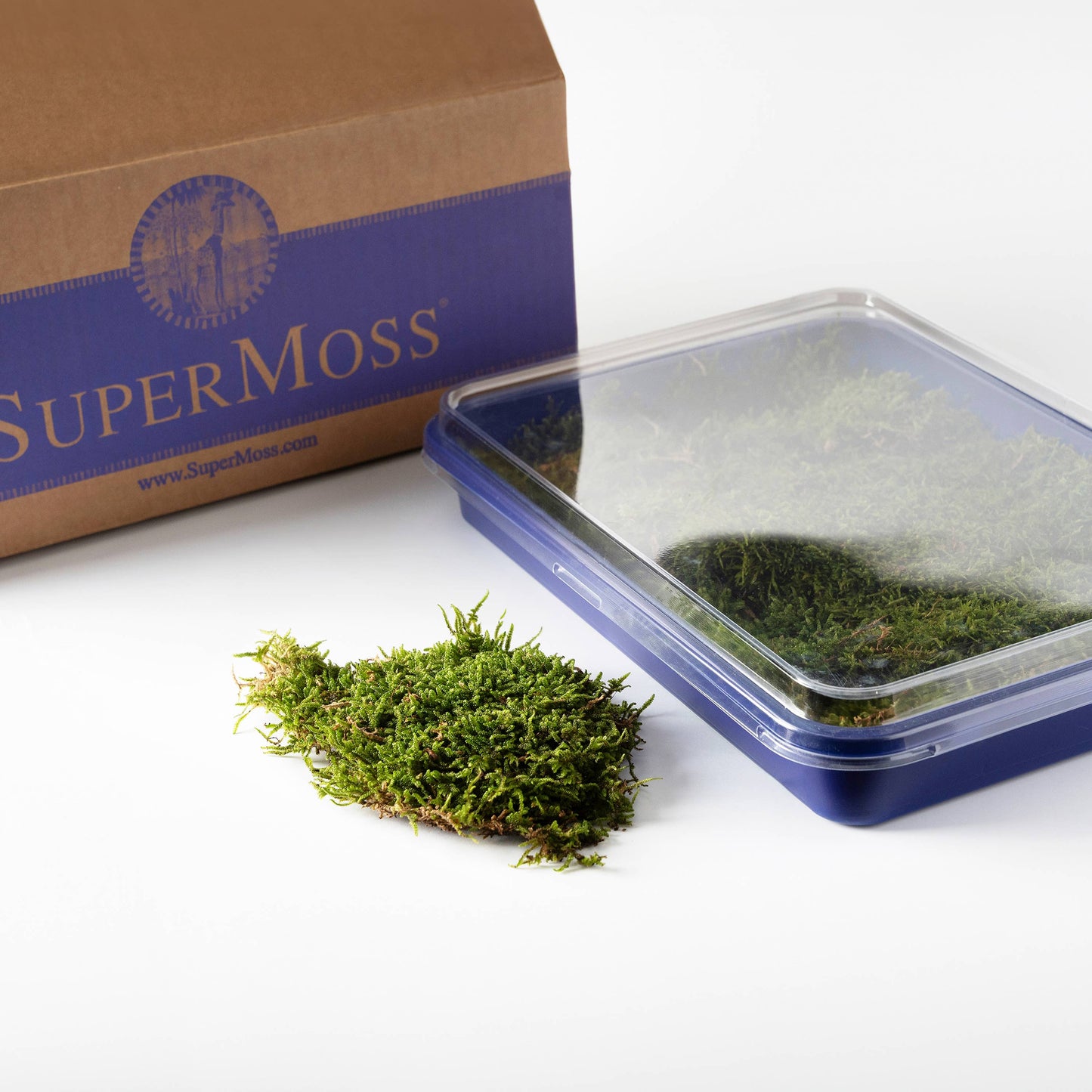 Fresh Moss