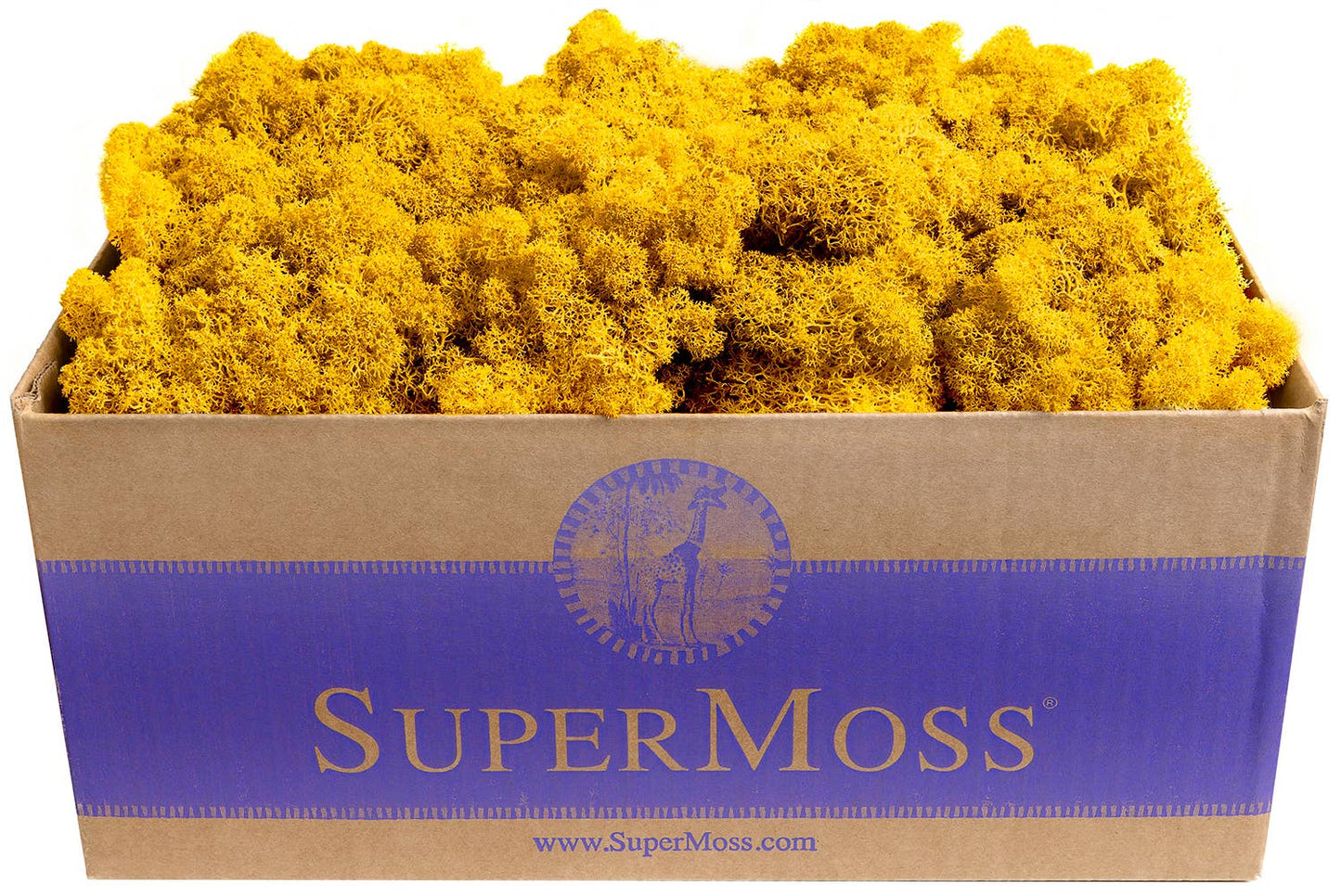 Reindeer Moss Preserved 3lb Bulk Box