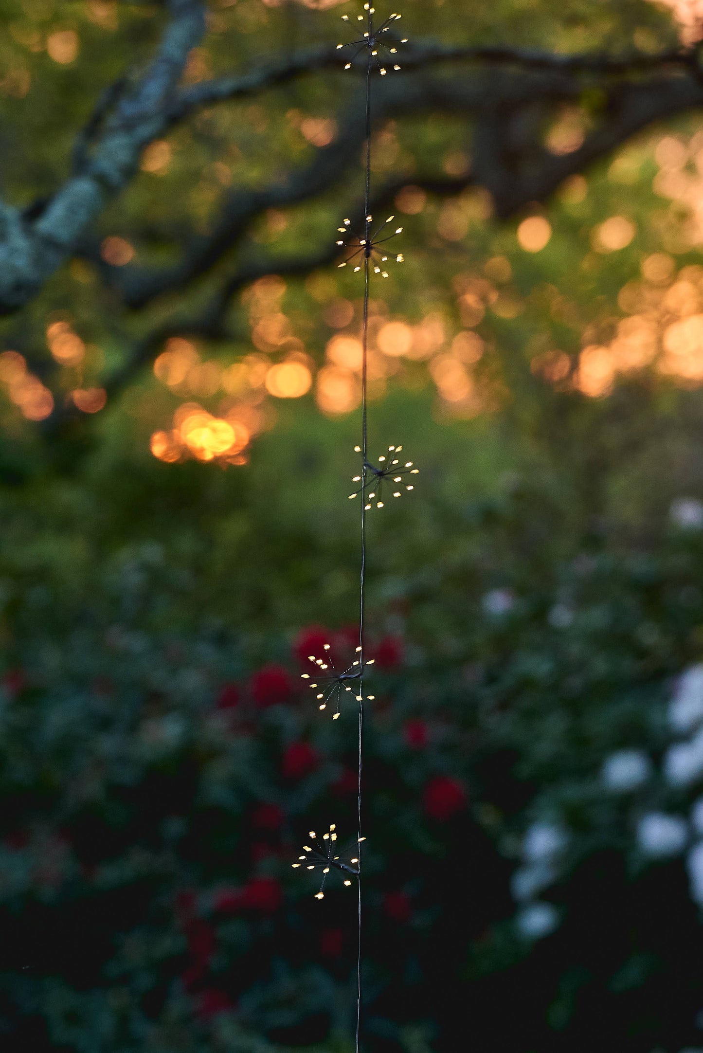 Solar Starburst Chain Light - Black