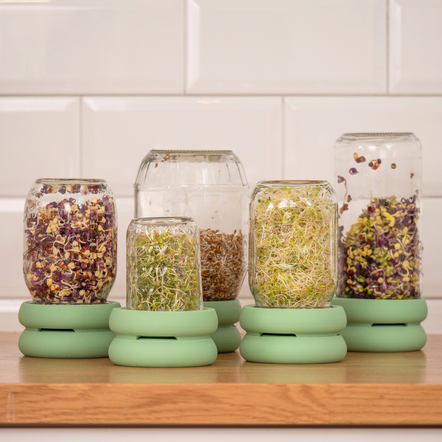 Sprout Huggers