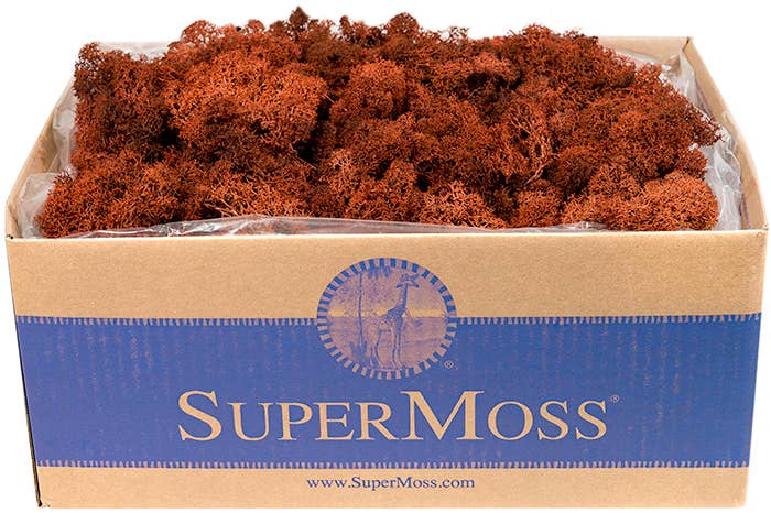 Reindeer Moss Preserved 3lb Bulk Box