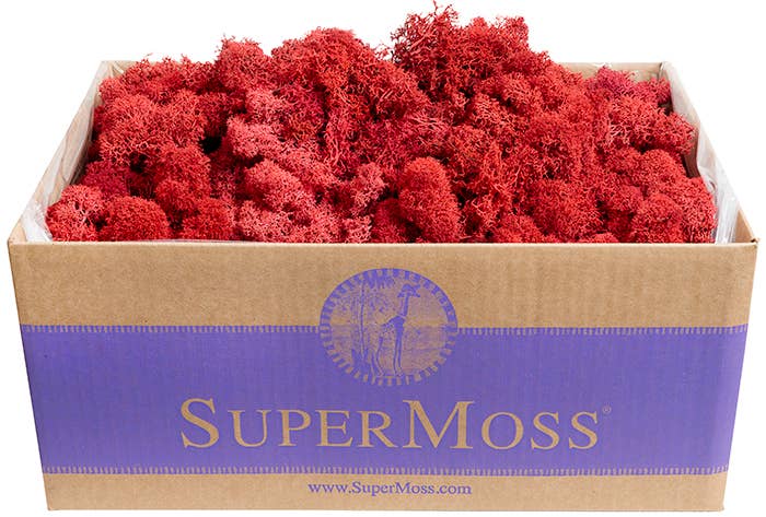 Reindeer Moss Preserved 3lb Bulk Box