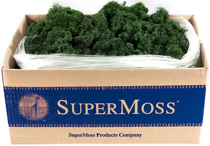 Reindeer Moss Preserved 3lb Bulk Box