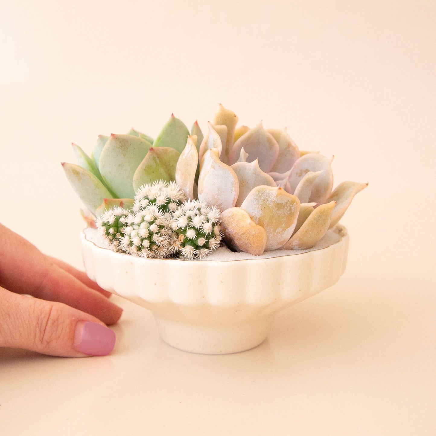 Delphine Low Bowl | Vintage White Speckle