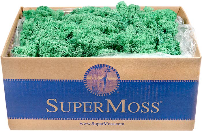 Reindeer Moss Preserved 3lb Bulk Box