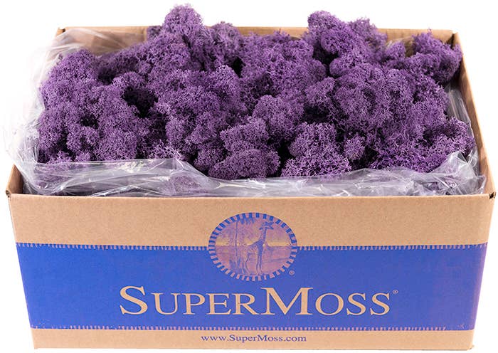 Reindeer Moss Preserved 3lb Bulk Box