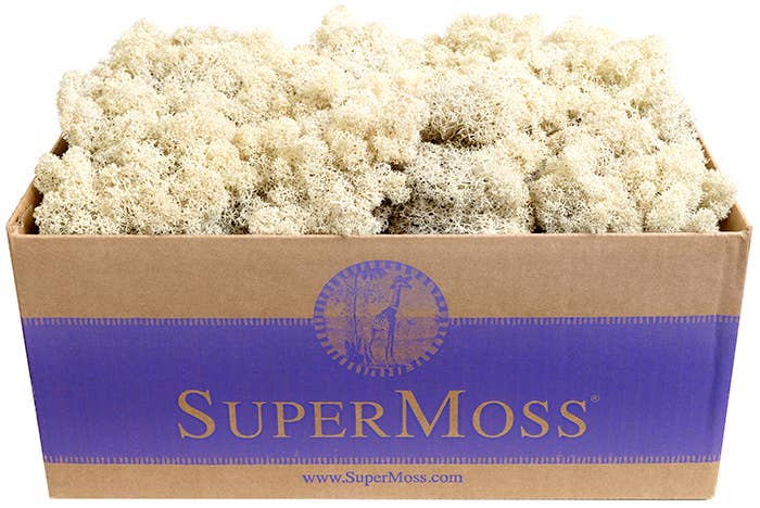 Reindeer Moss Preserved 3lb Bulk Box