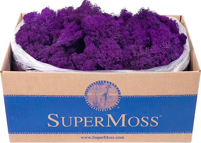 Reindeer Moss Preserved 3lb Bulk Box