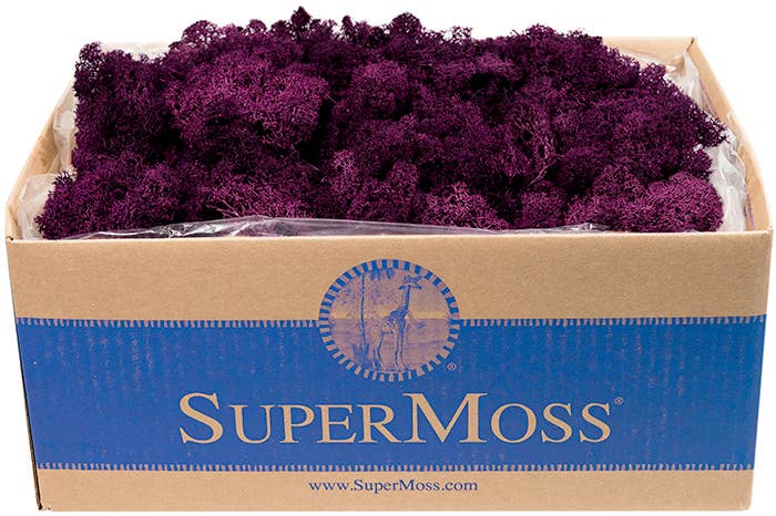 Reindeer Moss Preserved 3lb Bulk Box