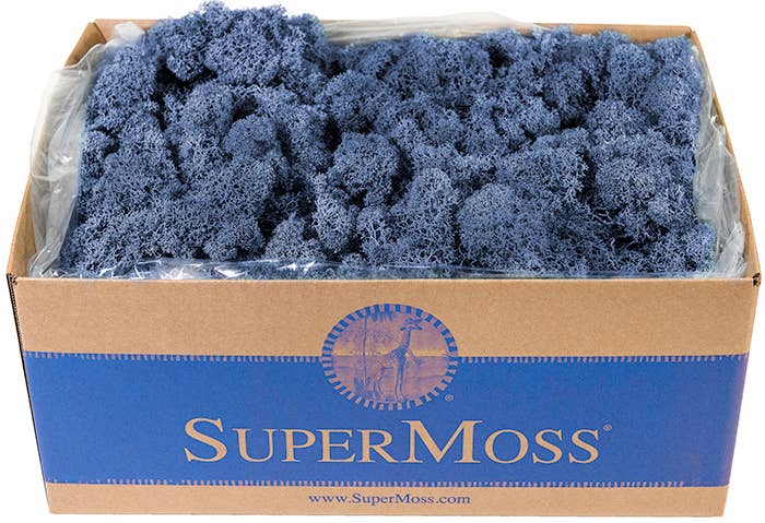 Reindeer Moss Preserved 3lb Bulk Box