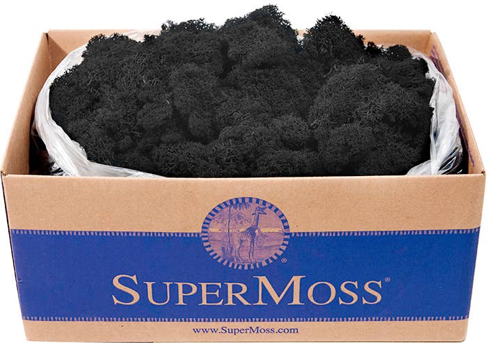 Reindeer Moss Preserved 3lb Bulk Box