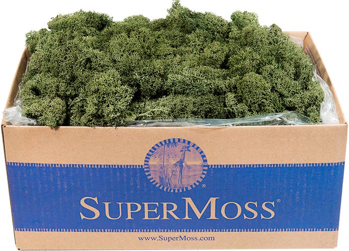 Reindeer Moss Preserved 3lb Bulk Box