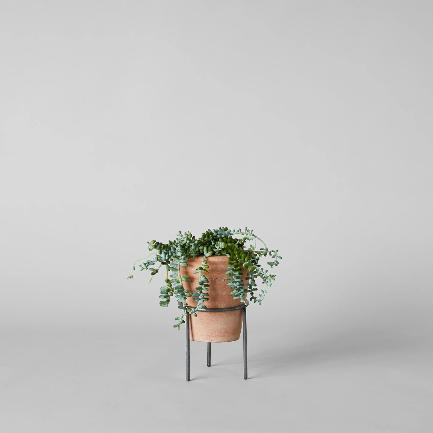 Wrought Iron Planter Stand