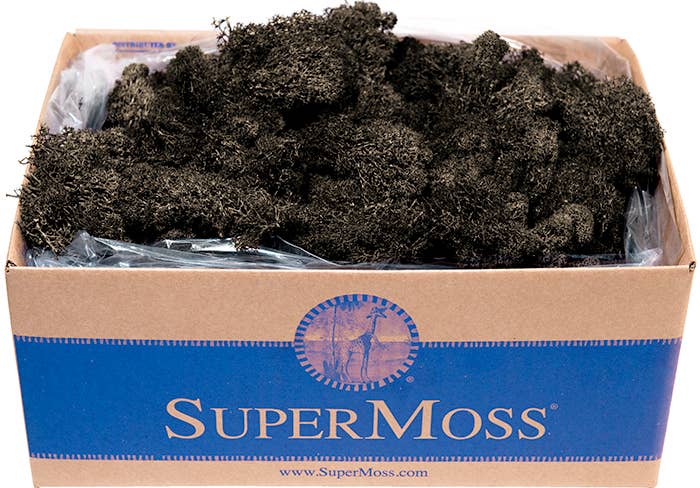 Reindeer Moss Preserved 3lb Bulk Box
