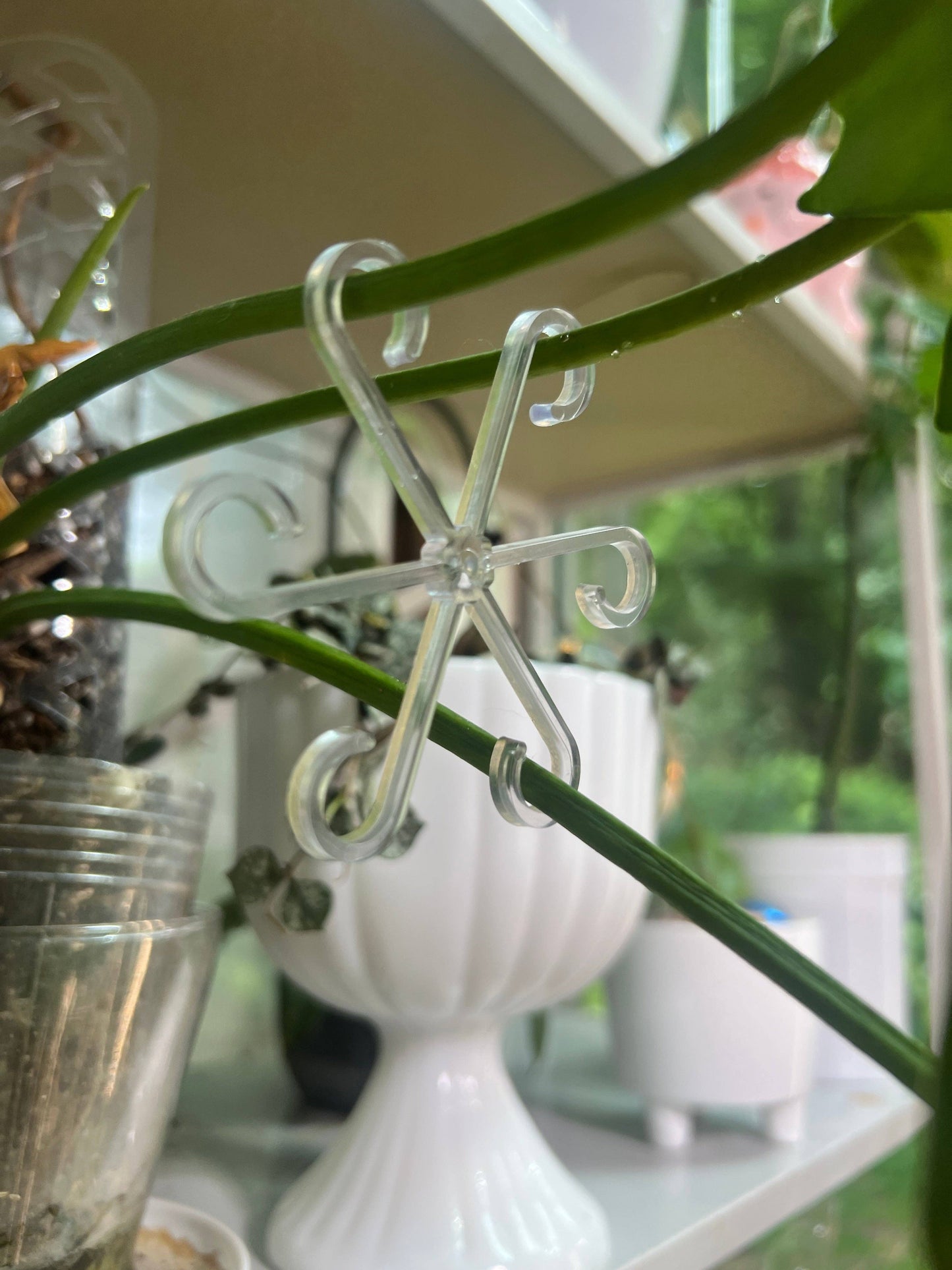 Spiral Stem Holder (Set of 4)