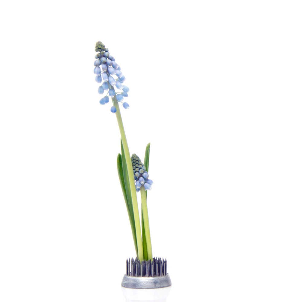 Ikebana Frogs / Kenzans - Stainless Steel