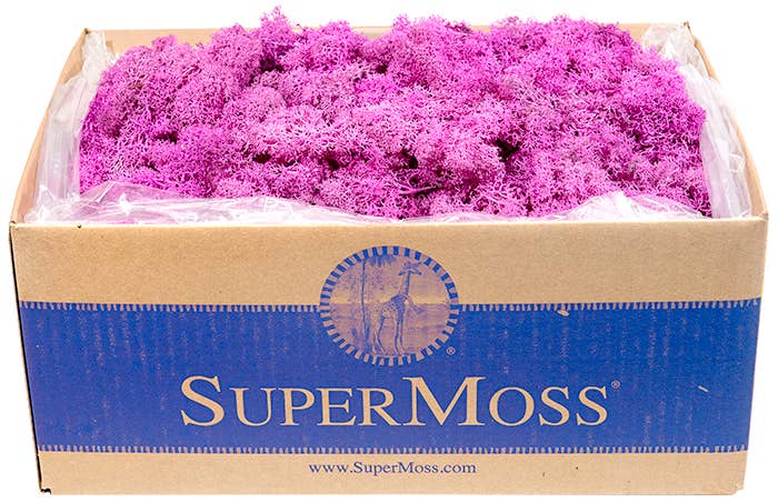 Reindeer Moss Preserved 3lb Bulk Box