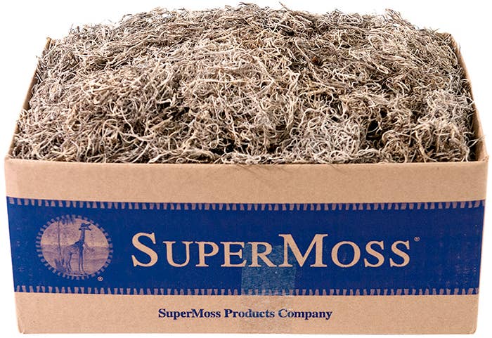 Spanish Moss PR Bulk 3LB NA