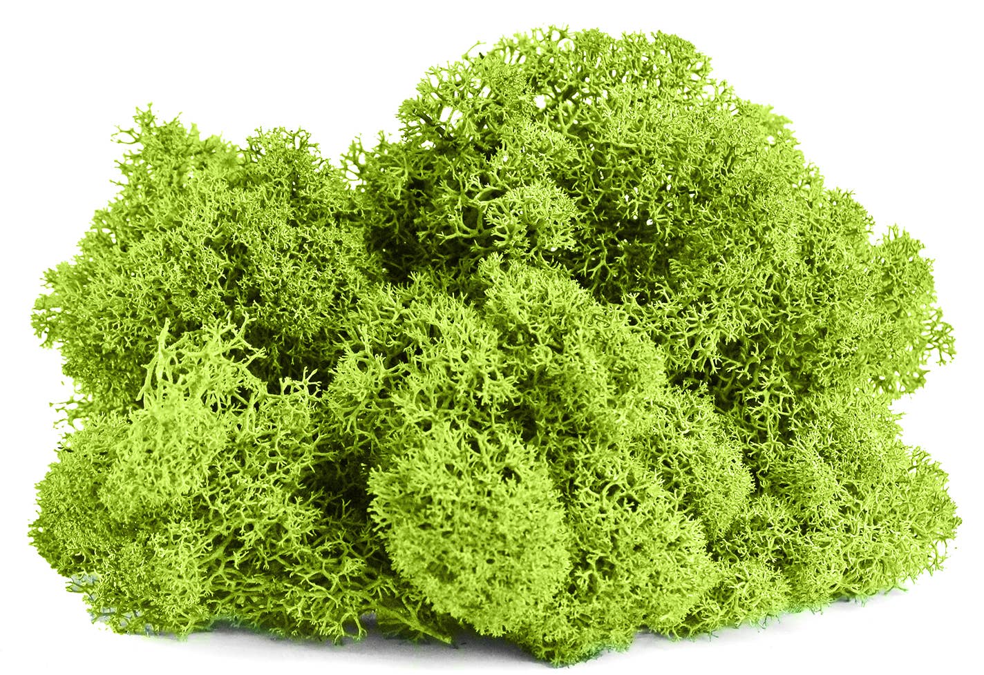 Reindeer Moss 10lb box