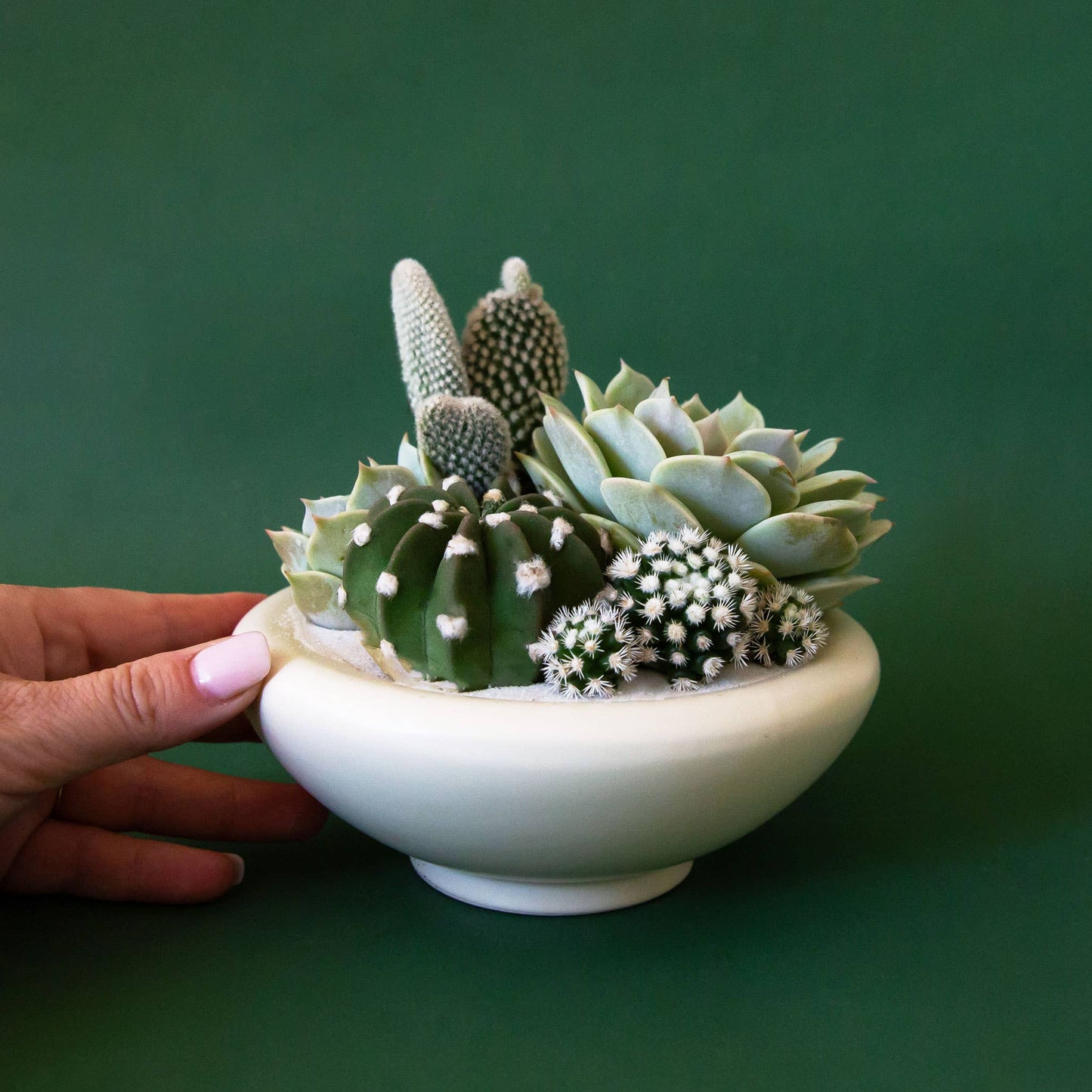 Birdie Bowl | Vintage White