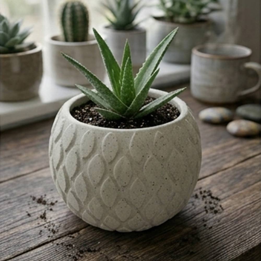 Succulent Mini Pot Tear Pattern