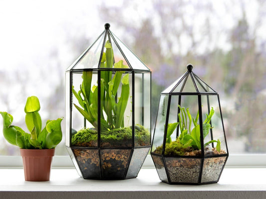 Glass Terrarium