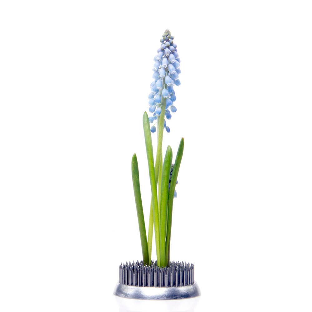 Ikebana Frogs / Kenzans - Stainless Steel