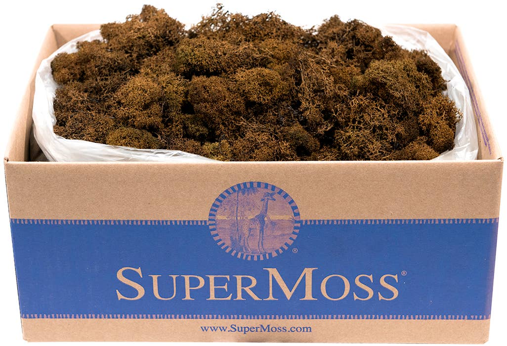 Reindeer Moss Preserved 3lb Bulk Box