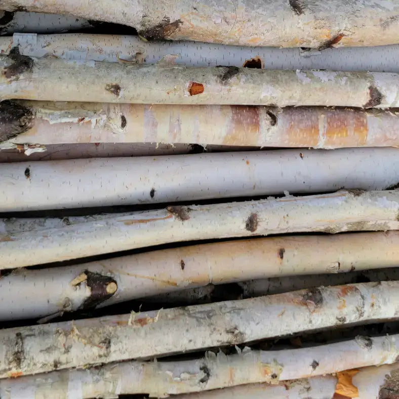 Birch Poles 3ft x 1-2" diameter