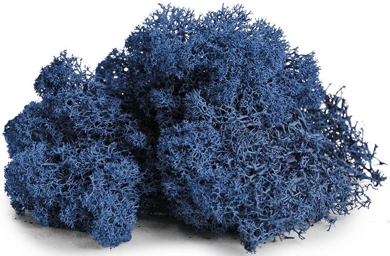 Reindeer Moss 10lb box