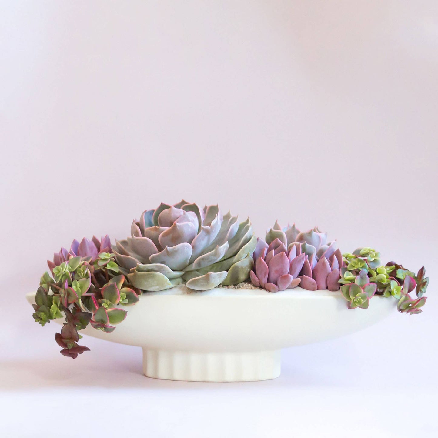 Autumn Moon Gift Card