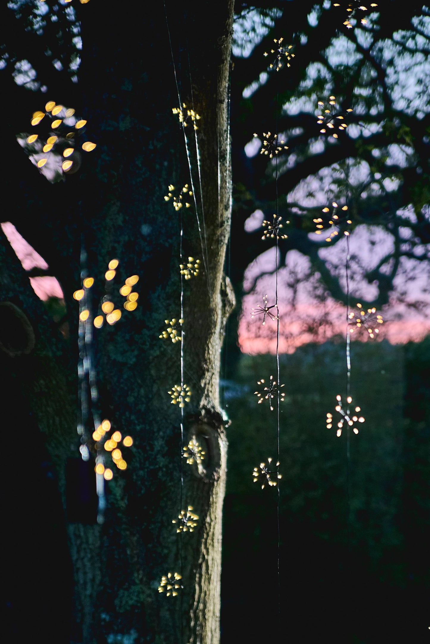 Solar Starburst Chain Light - Black