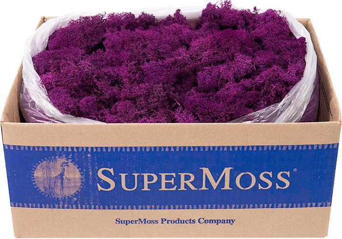 Reindeer Moss Preserved 3lb Bulk Box