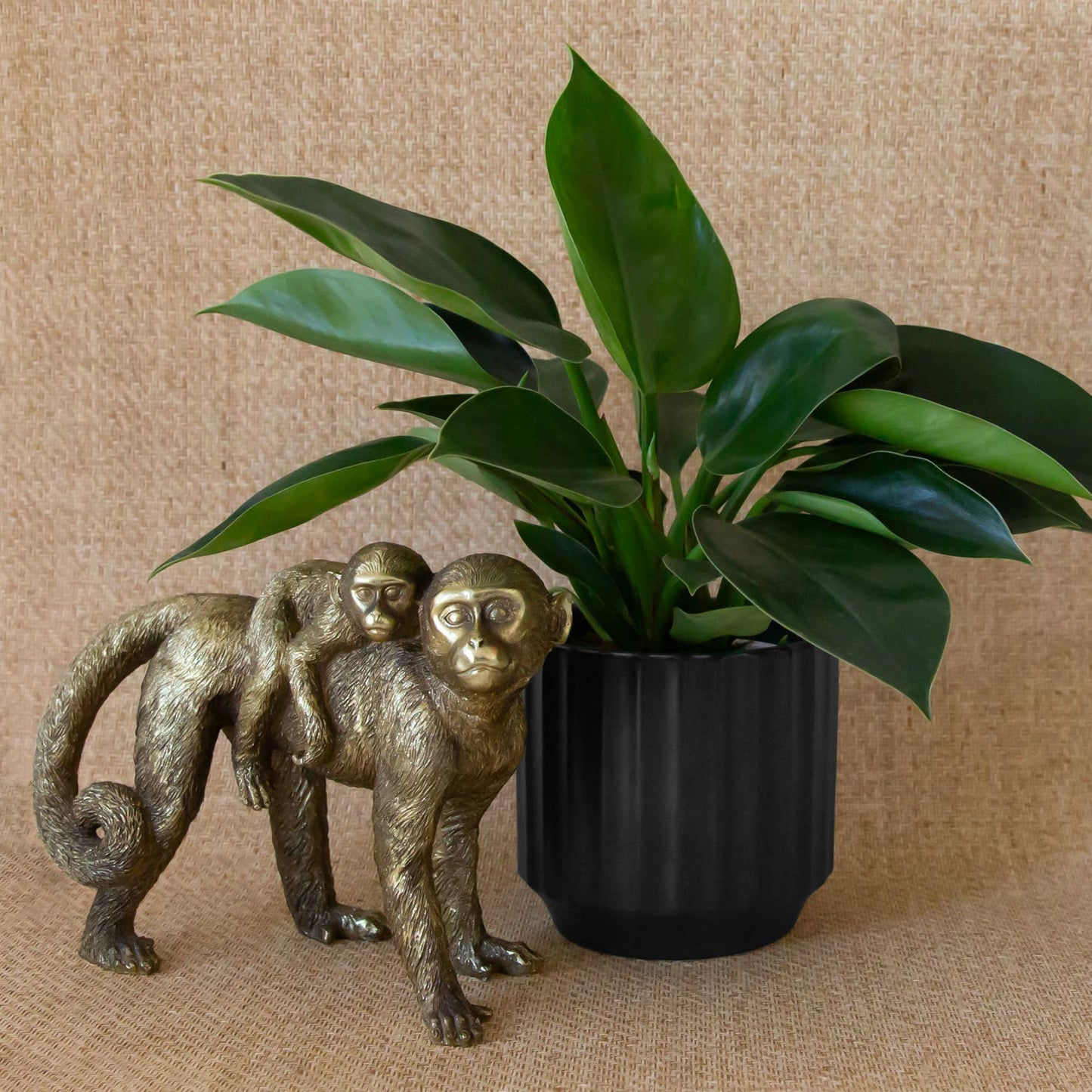 Monroe Planter | Black