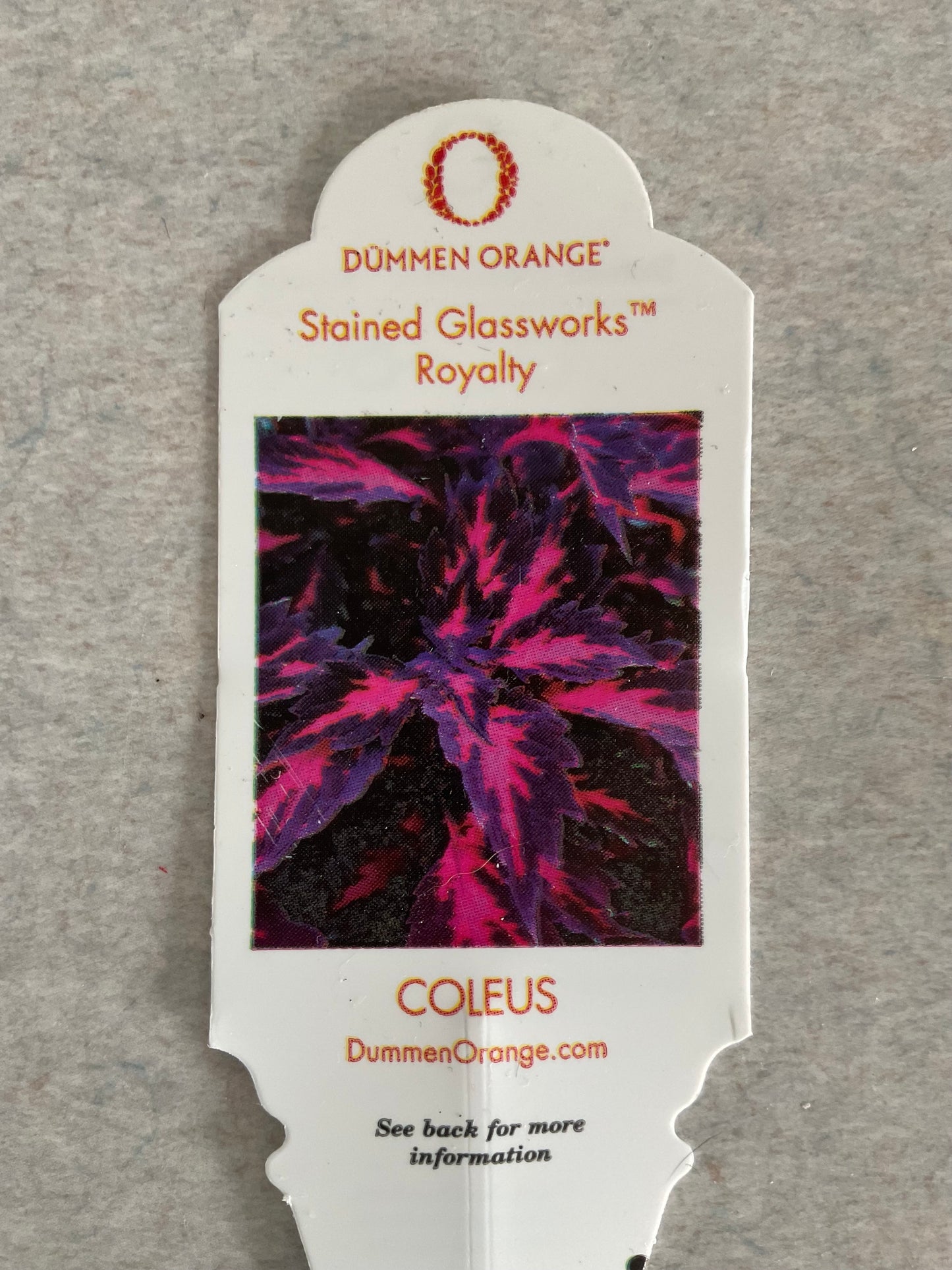 Stained Glassworks Royalty - Coleus