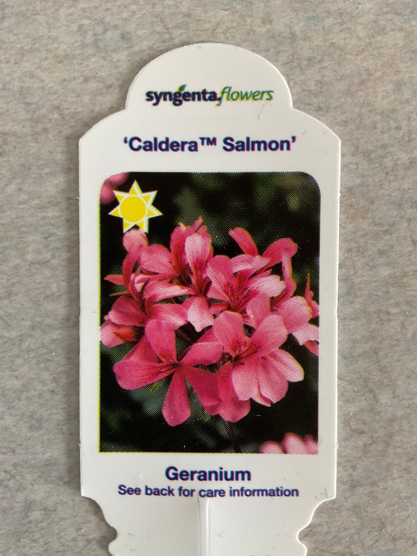 Caldera Salmon - Geranium