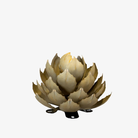 Artichoke Agave - Medium