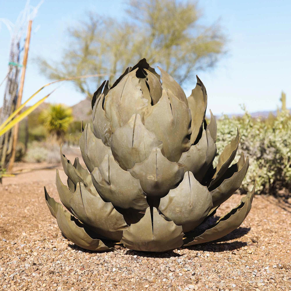 Artichoke Agave - Medium