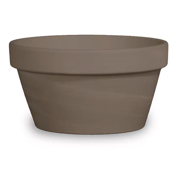 Bonsai Cactus Pot 6.25” - Dark Basalt