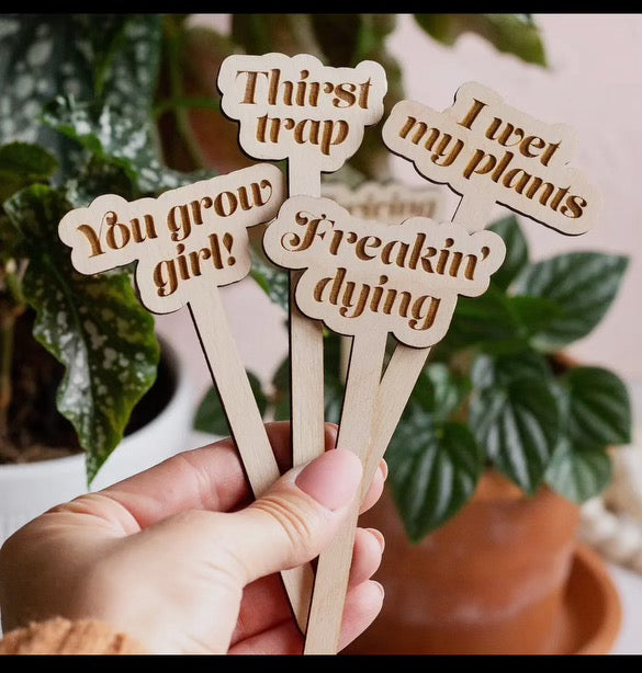 Funny Wooden Plant Markers