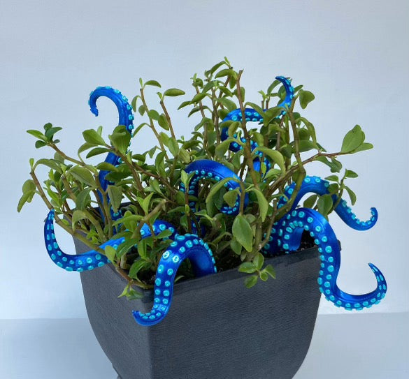 Octopus Tenacle Stakes