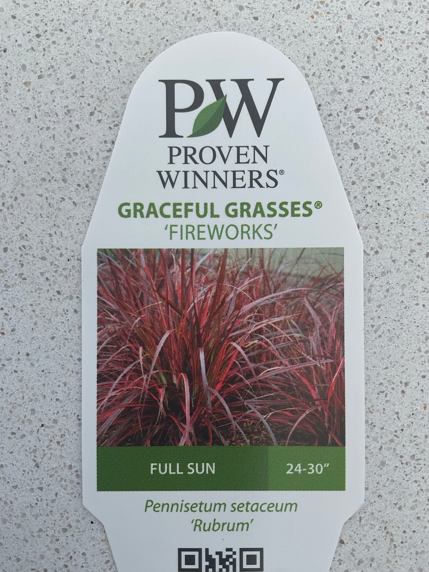 Graceful Grasses - Fireworks - Annual