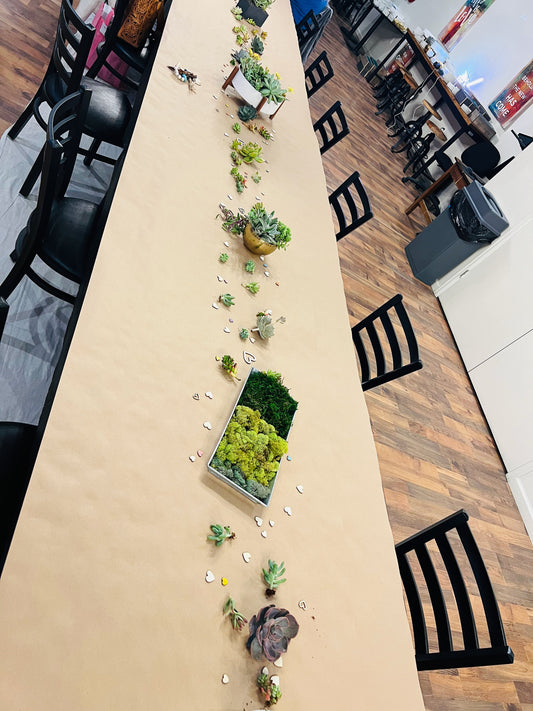 Succulent Workshop