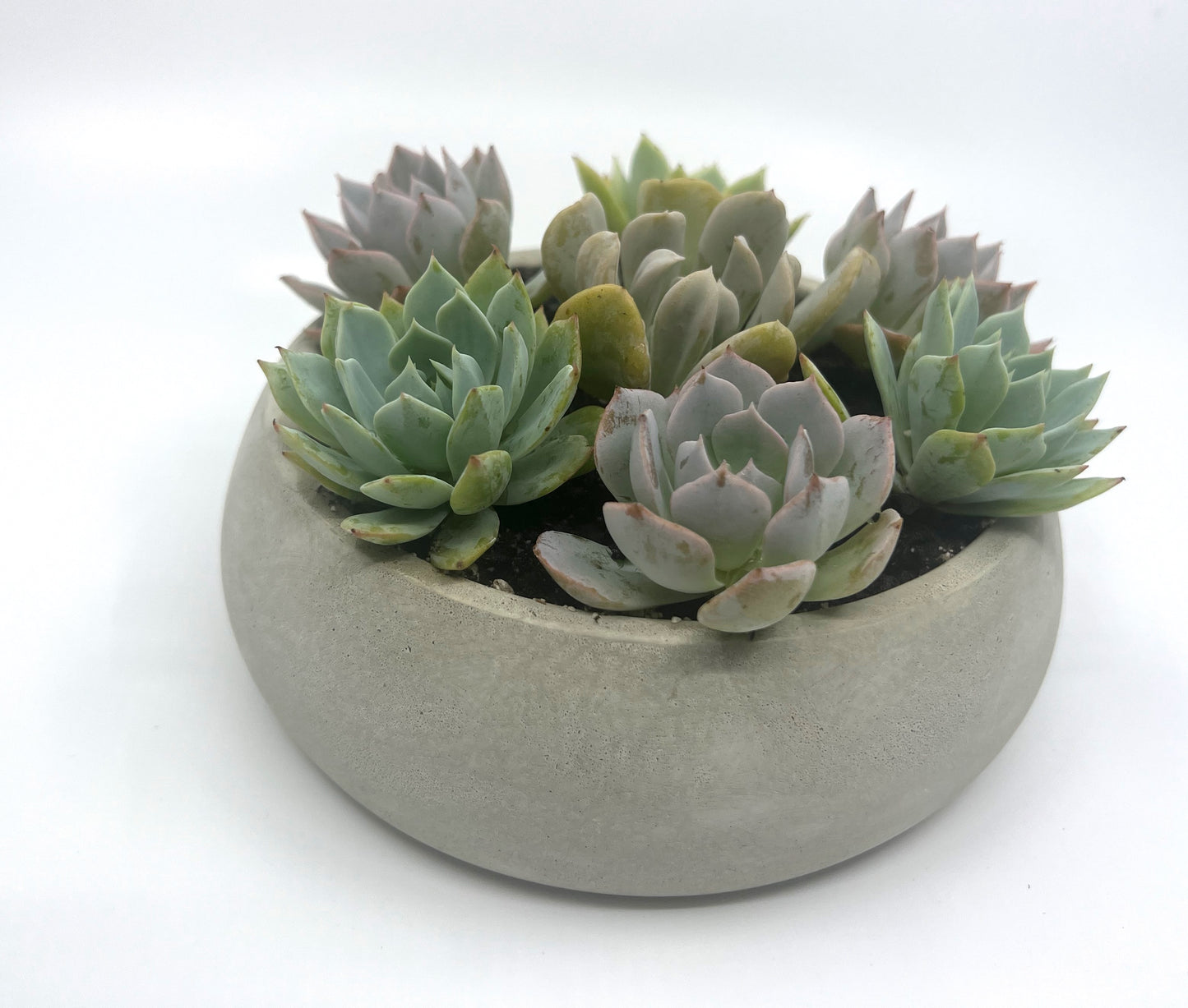 Rounded Low Bowl