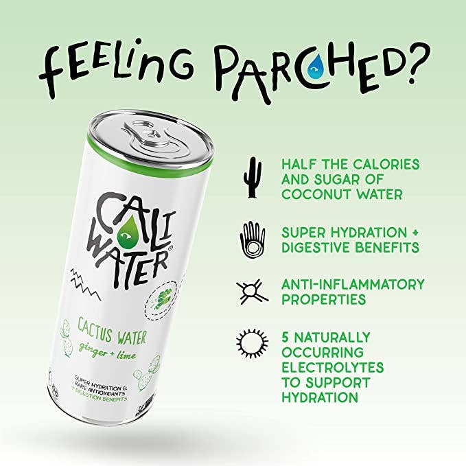 Ginger + Lime Cactus Water