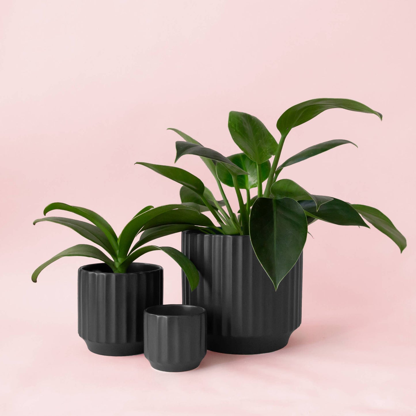 Monroe Planter | Black
