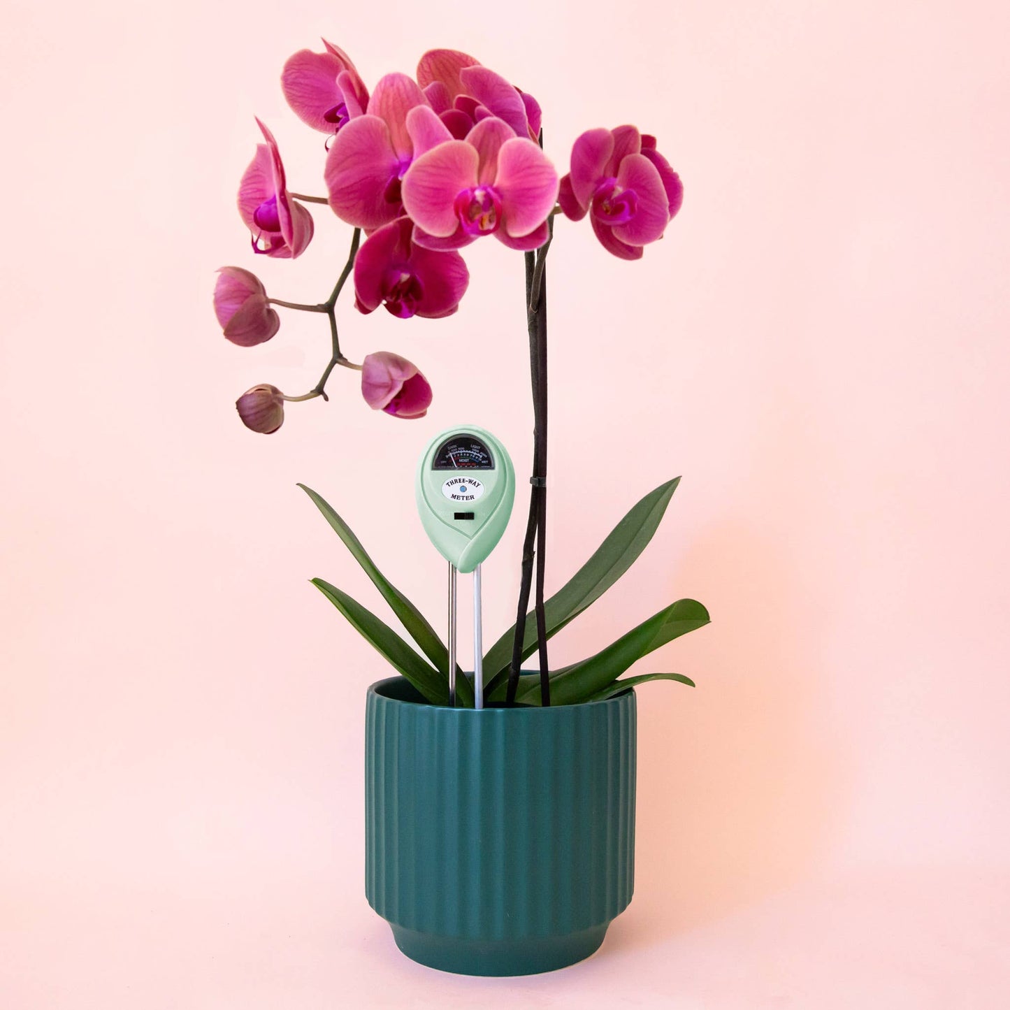 3-in-1 Moisture Meter | Lagoon *NEW COLOR*