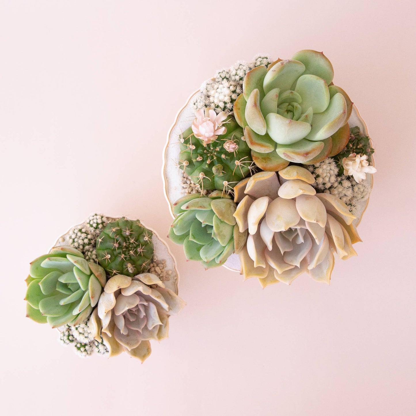 Delphine Low Bowl | Vintage White Speckle