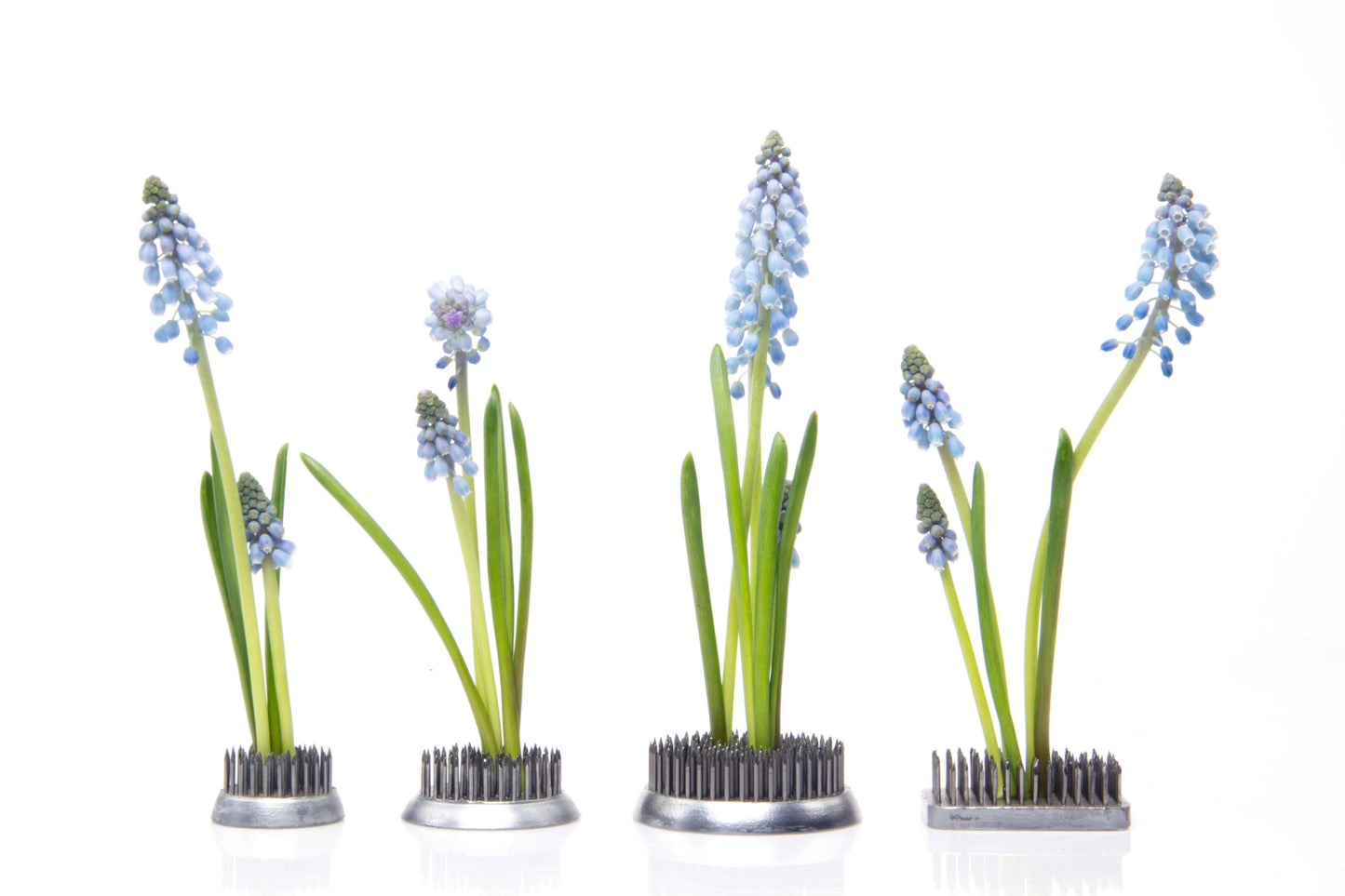 Ikebana Frogs / Kenzans - Stainless Steel